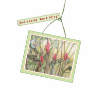 Heliconia ('Bush Bling') t-shirts
