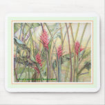 Heliconia Bush Mouse Pads