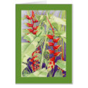 Heliconia Card