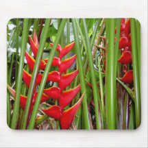 Heliconia Mouse Pad