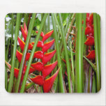 Heliconia Mouse Pad