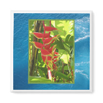Heliconia rostrata magnets