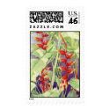 Heliconia Stamp