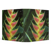 Heliconias, Heliconia walkeriana), La Selva Binders