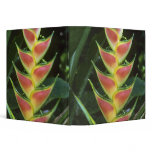 Heliconias, Heliconia walkeriana), La Selva Binders