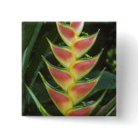 Heliconias, Heliconia walkeriana), La Selva Pinback Button