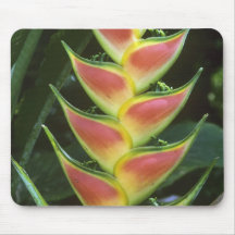 Heliconias, Heliconia walkeriana), La Selva Mousepads