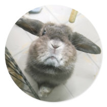 Helicopter bun (sticker)