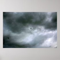 Helicopters Poster/ Large Print posters