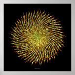 Helios Flower 1 (hi-res print)