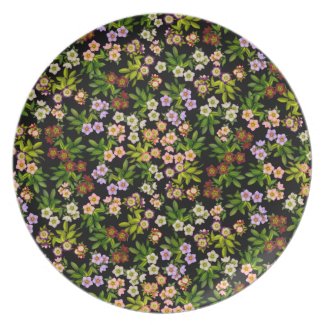 Hellebore Lenten Rose Floral Plate