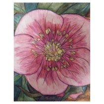 Hellebore VI flyers by aixie1975 Hellebore VI flyers