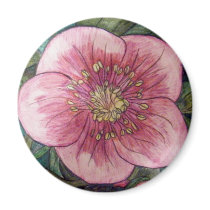 Hellebore VI magnets by aixie1975 Hellebore VI magnets