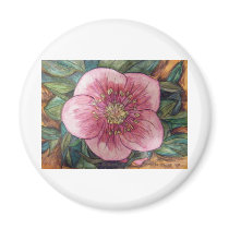 Hellebore VI magnets by aixie1975 Hellebore VI magnets