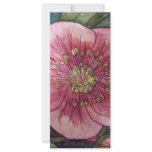 Hellebore VI rack cards