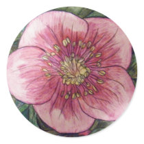 Hellebore VI stickers by aixie1975 Hellebore VI stickers