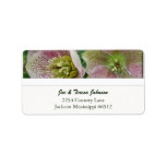 Hellebores Address Labels