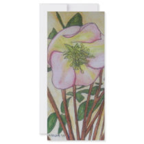 Hellebores XII rack cards