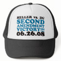 Heller v DC - 2nd Amendment Victory - Blue hats
