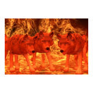 HELLHOUNDS POSTERS
