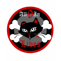 HellKat Kids 2T or 4T t-shirts