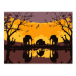 Hello Africa Postcard postcards
