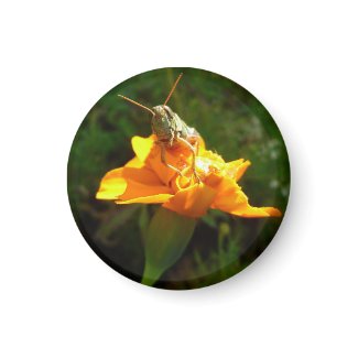 Hello autumn hopper Magnet magnet