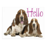 Hello Basset Hound Puppy Dog Purple Postcard