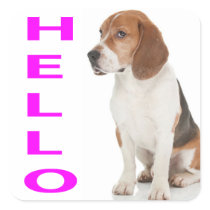 Hello Beagle Puppy Dog Greeting Stickers / Label
