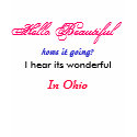 Hello Beautiful, hows it going?, I hear its won... t-shirts by jonasponed Hello Beautiful, hows it going?, I hear its won... t-shirts