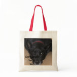 Hello Big Boy! Oil Painting Book Bag