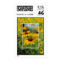 Hello - Black-Eyed Susans Postage Stamp