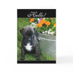 Hello Boxer puppy greeting card