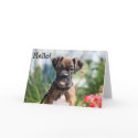 Hello Boxer puppy greeting card