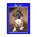 Hello boxer puppy postcard