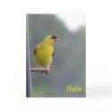 Hello cards