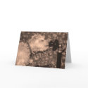 Hello cards by Jrcphoto Hello cards