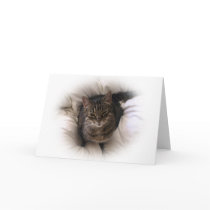 Hello! cards by kellmaria Hello! cards
