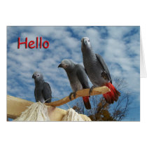 Hello cards