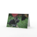 Hello Dad cards by timndeb Hello Dad cards