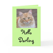Hello Darling cards