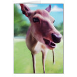 Hello Deer, cards