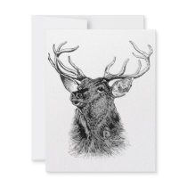 HELLO DEER {INVITATION}