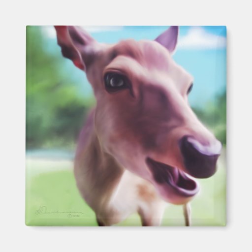 Hello Deer, Magnets