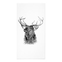 HELLO DEER photo cards