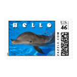 Hello Friend! Dolphin stamp stamps