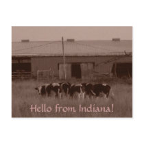 Hello from Indiana! postcards