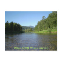 Hello from North Idaho! Postcard