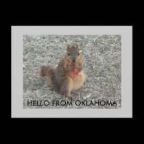 HELLO FROM OKLAHOMA postcards by tina312 HELLO FROM OKLAHOMA postcards
