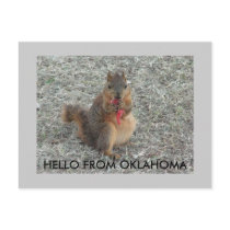 HELLO FROM OKLAHOMA postcards by tina312 HELLO FROM OKLAHOMA postcards